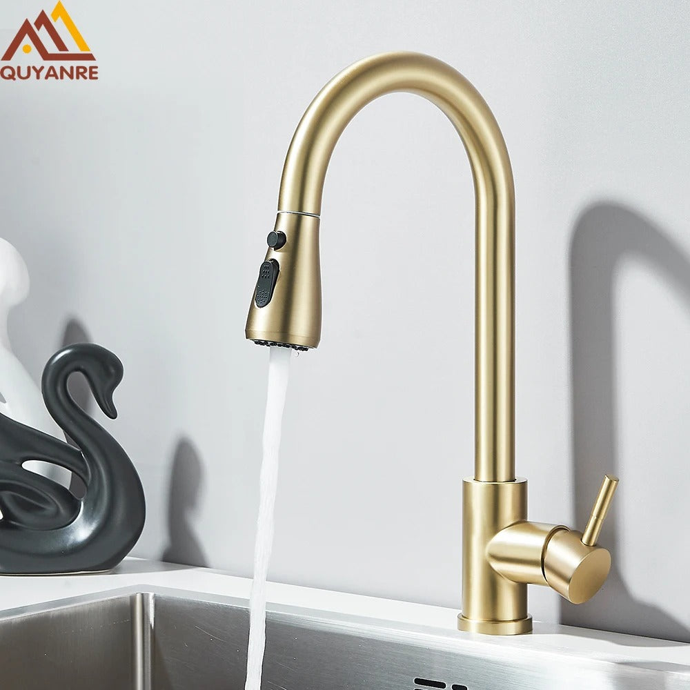 Pull Out Kitchen Faucet 2-way Sprayer Water Tap Single Handle Mixer
