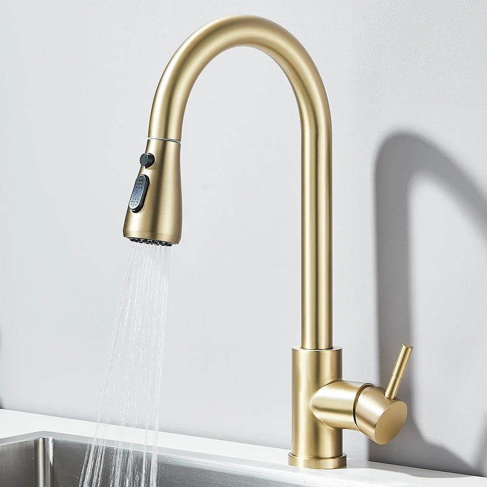 Pull Out Kitchen Faucet 2-way Sprayer Water Tap Single Handle Mixer
