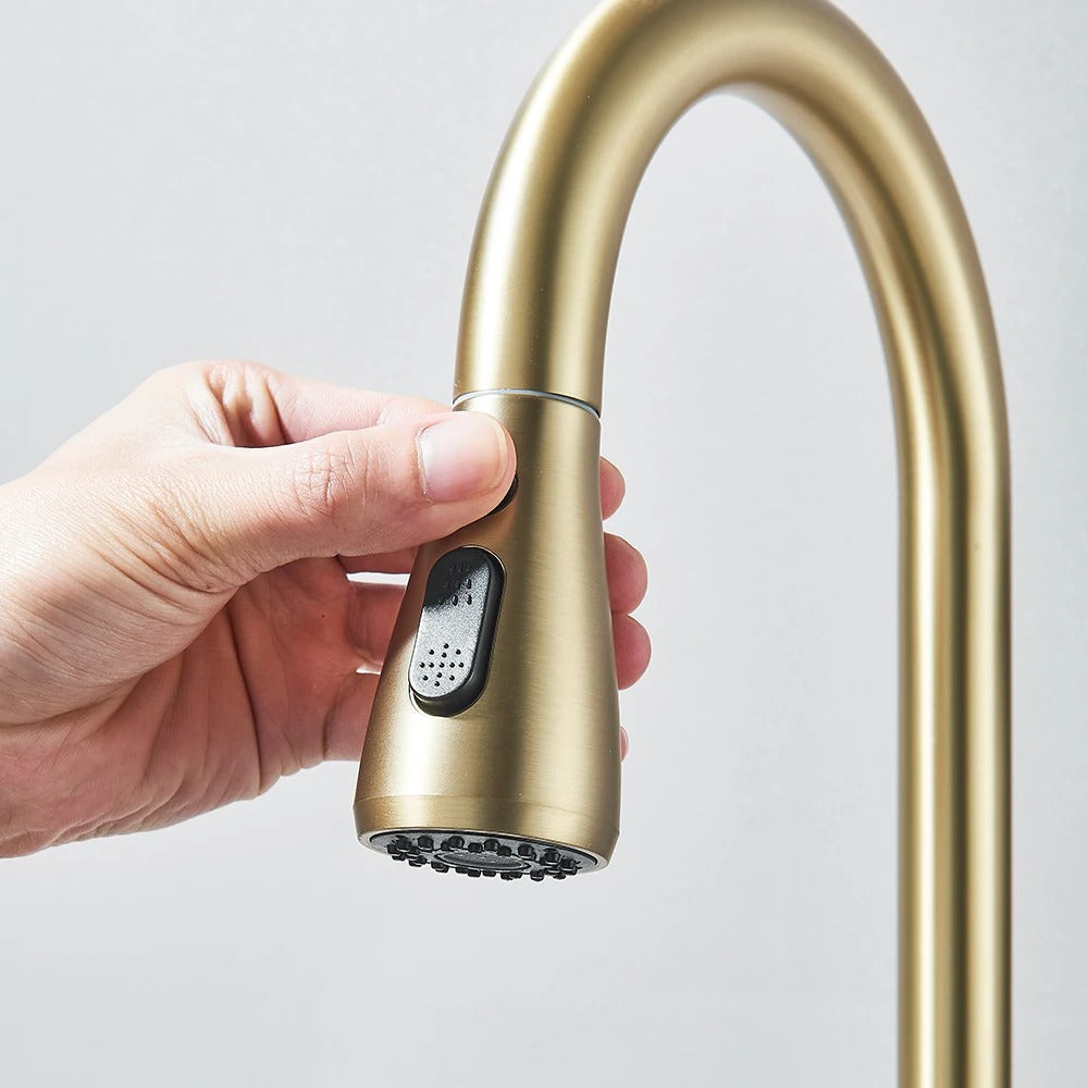 Pull Out Kitchen Faucet 2-way Sprayer Water Tap Single Handle Mixer