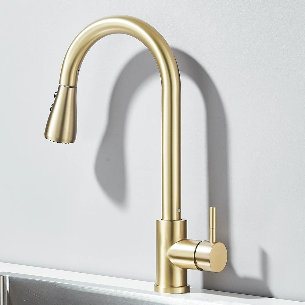 Pull Out Kitchen Faucet 2-way Sprayer Water Tap Single Handle Mixer